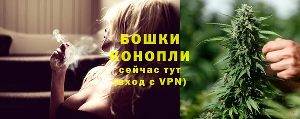 гидра Михайлов