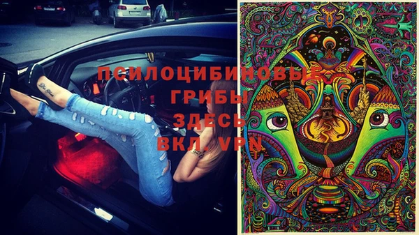 гидра Михайлов