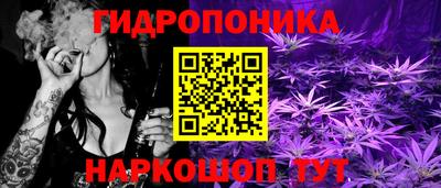 прущие крисы Краснознаменск