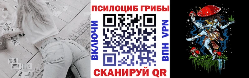купить наркотики цена  Мегион  Галлюциногенные грибы Psilocybine cubensis 