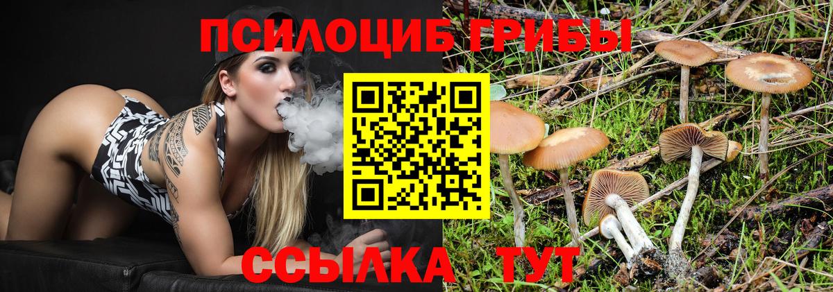 Псилоцибиновые грибы Magic Shrooms  Вход с VPN  Мегион 