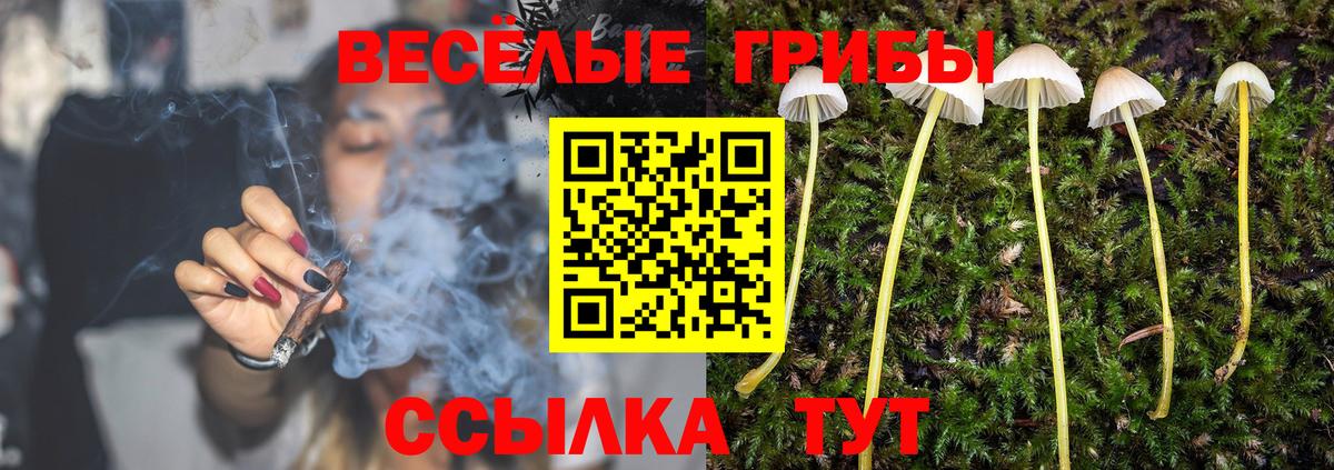 Псилоцибиновые грибы ЛСД Мегион